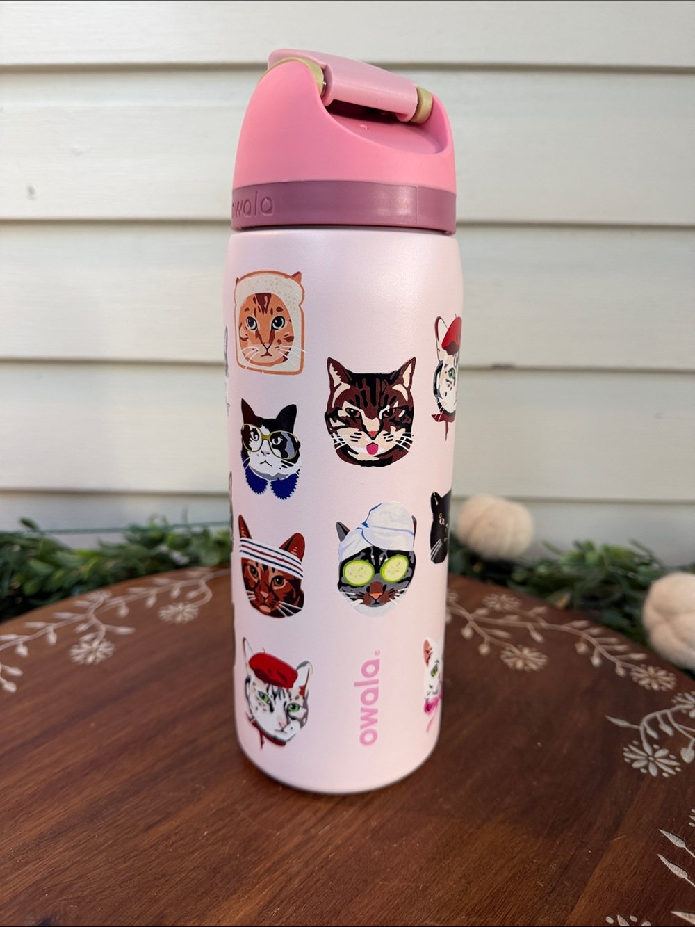Owala 32 Oz Cat Themed Water Bottle NWT
